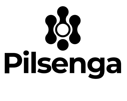 Pilsenga blog